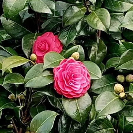 Casa Da Laura - Um Refugio Na Serra Da Estrela