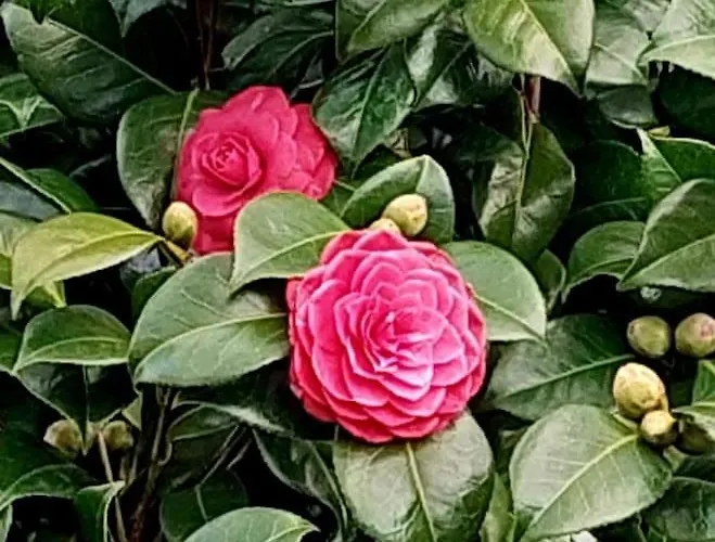 Casa Da Laura - Um Refugio Na Serra Da Estrela
